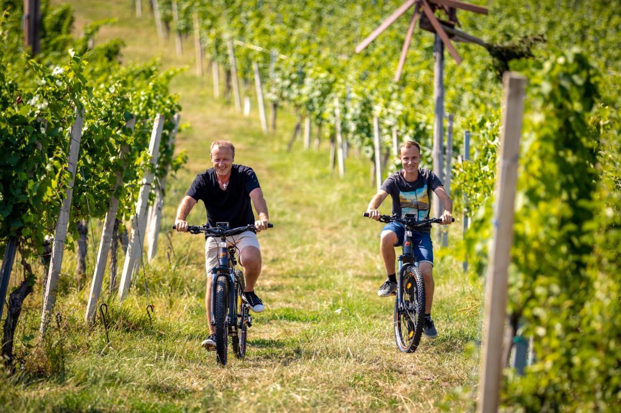 Weingut-Gaestehaus Birnstingl Gamlitz Exteriér fotografie
