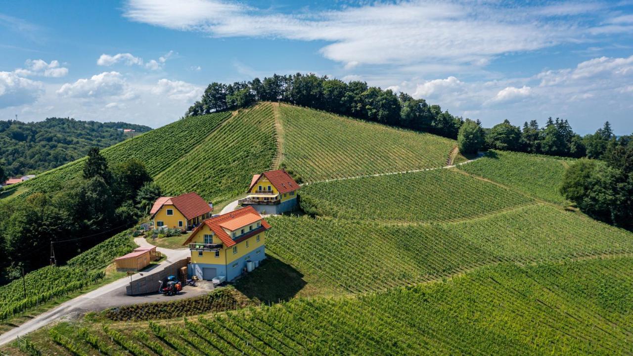 Weingut-Gaestehaus Birnstingl Gamlitz Exteriér fotografie