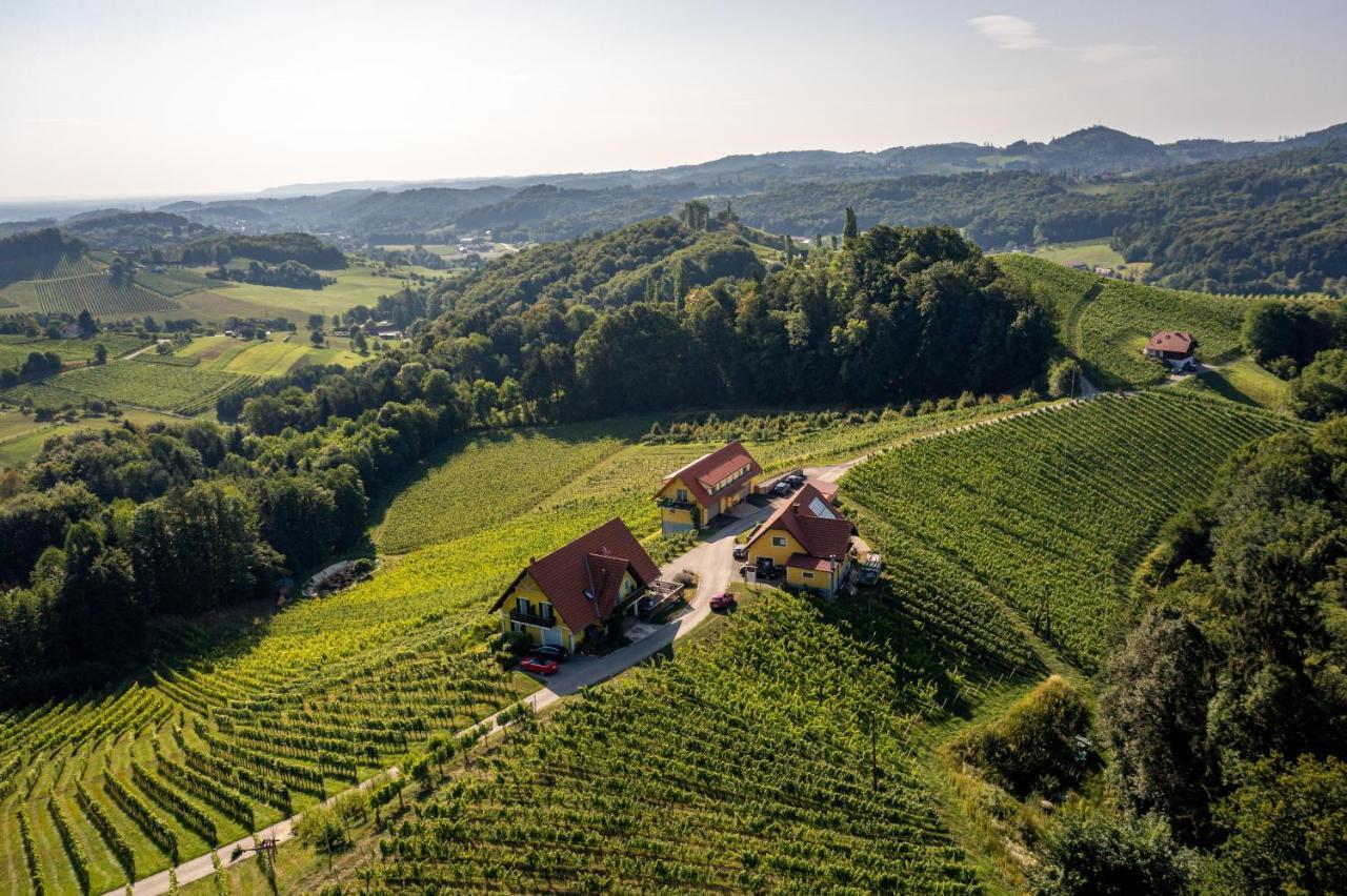 Weingut-Gaestehaus Birnstingl Gamlitz Exteriér fotografie